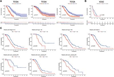 Construction and validation of a histone acetylation-related lncRNA prognosis signature for ovarian cancer